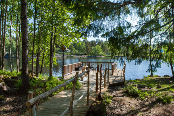 istock Picnic area by the lake in Karelia 825721288