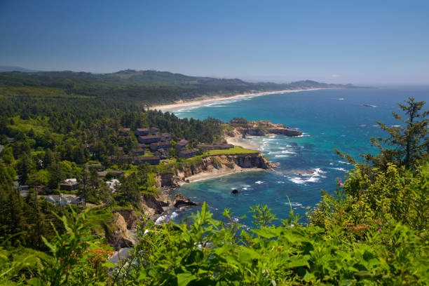 Just north of Newport on the oregon coast