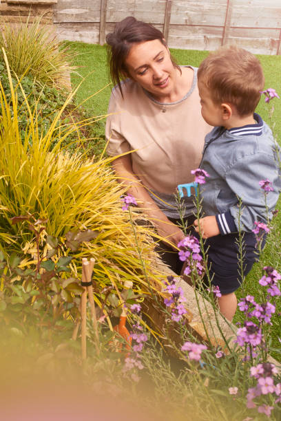 istock Looking at the plants in the garden 825732940