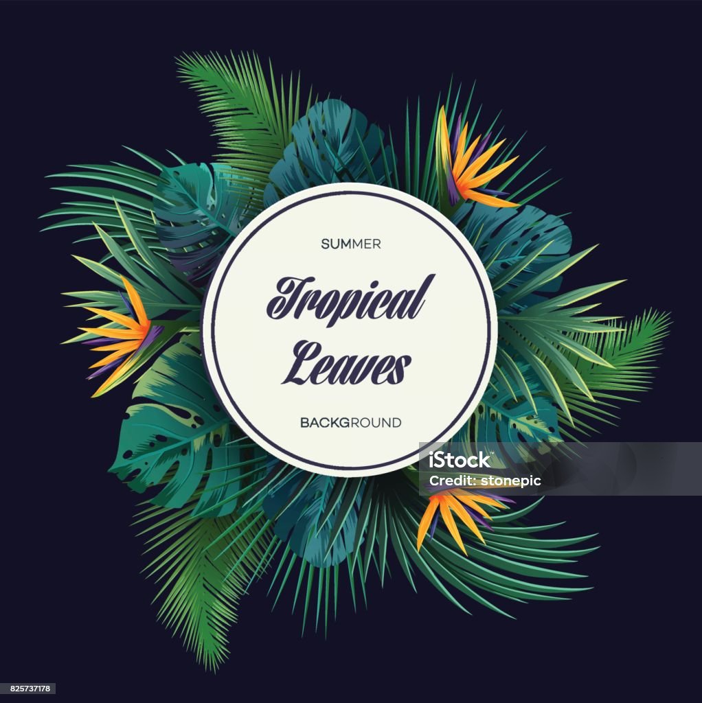 Bright tropical background with jungle plants. Exotic pattern with palm leaves. Bright tropical background with jungle plants. Vector exotic pattern with palm leaves. Tropical Rainforest stock vector