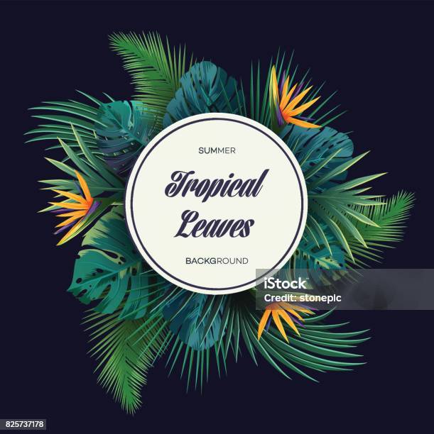 Bright Tropical Background With Jungle Plants Exotic Pattern With Palm Leaves Stock Illustration - Download Image Now