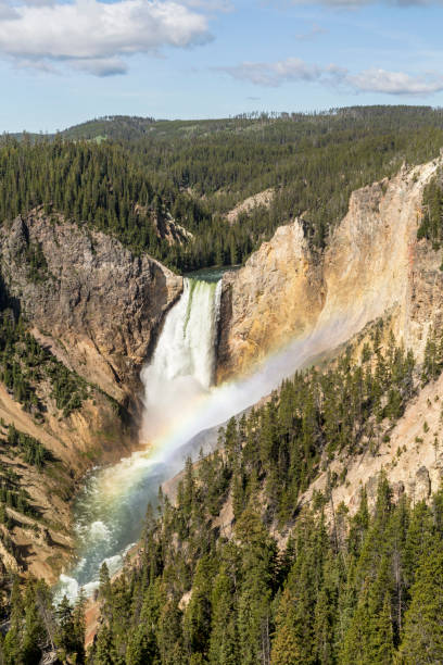 istock Yellowstone Upper Falls Rainbow and Blue Sky 825738664