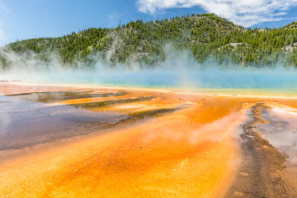 istock Tendrils of Grand Prismatic Spring 825741678