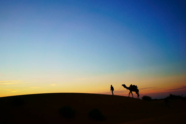istock Camel rider view in Thar desert, Rajasthan, India 825745960