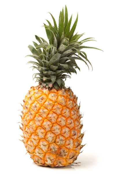 istock Pineapple, a Ripe, Fresh Fruit Food, Whole, Isolated on White 825746240