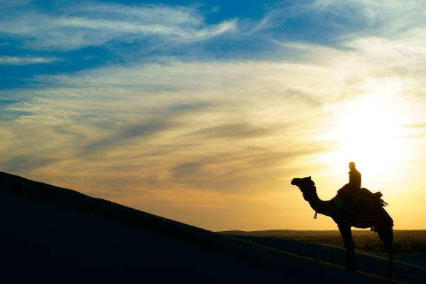 istock Camel rider view in Thar desert, Rajasthan, India 825746260