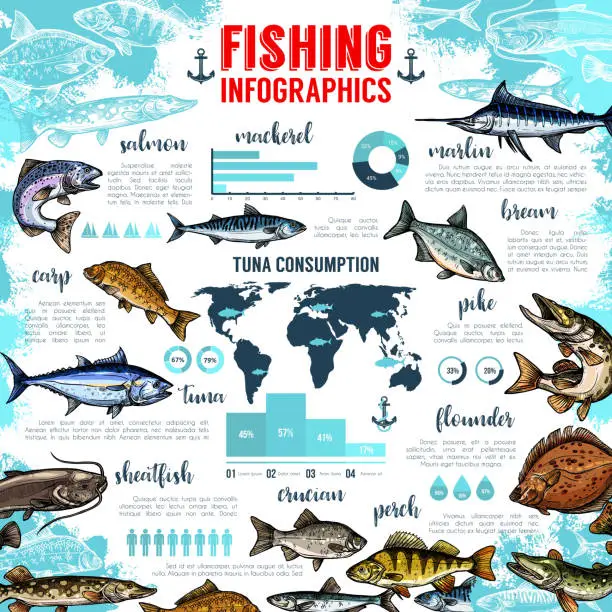 Vector illustration of Vector infographics for fishing and fish seafood