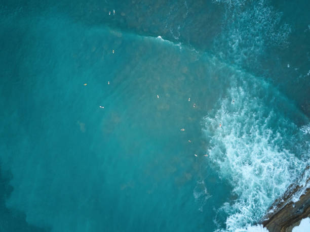 istock Group of surfers waiting for wave 825755368