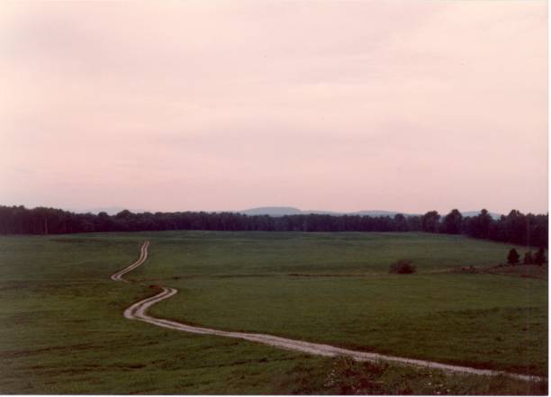 istock The road less travelled 825757754