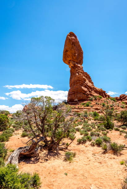 arches national park, estado de utah-eua - travel famous place balanced rock beauty in nature - fotografias e filmes do acervo