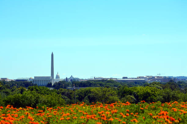 istock Panoramic View of Washington, D.C. Skyline in Summer 825761634