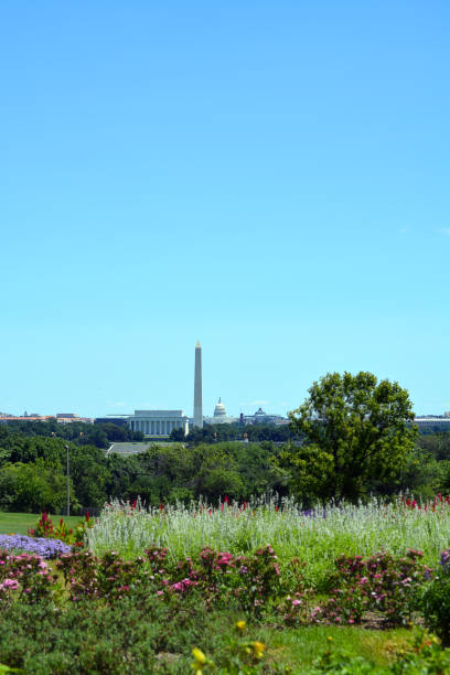 istock Panoramic View of Washington, D.C. Skyline in Summer 825761638