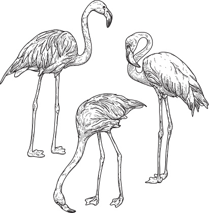 Retro Flamingo Pattern