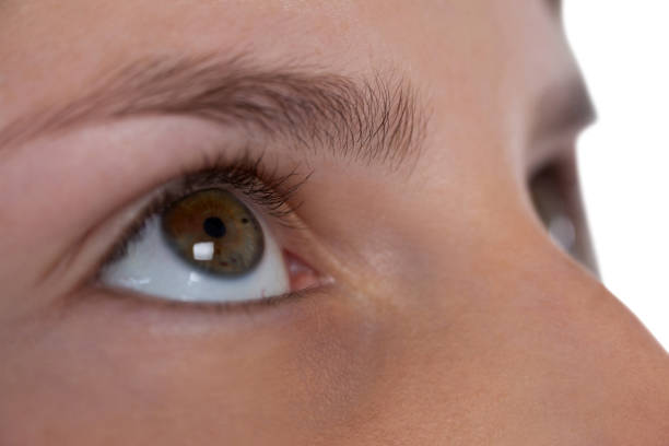 istock Girls eye and nose against white background 825766336
