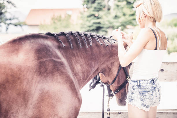 istock prepares horse for riding match 825769120