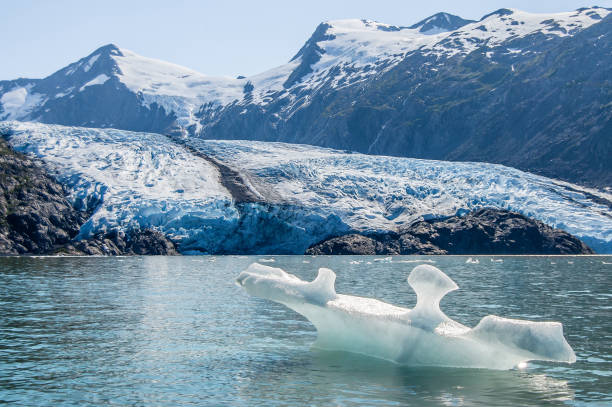 vista del glaciar portage y lago portage - chugach mountains fotografías e imágenes de stock