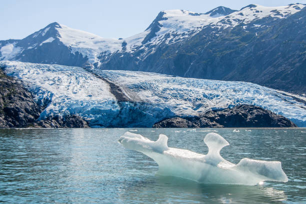 vue du glacier portage et lac portage - portage lake photos et images de collection