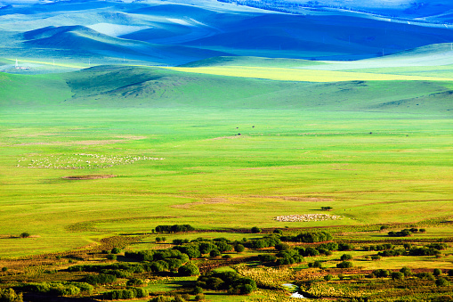 Hulun Buir Grassland, Inner Mongolia,China