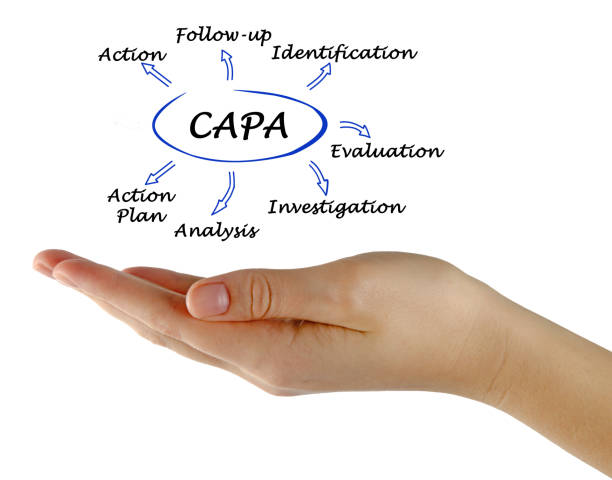 istock Diagram of CAPA 825774258