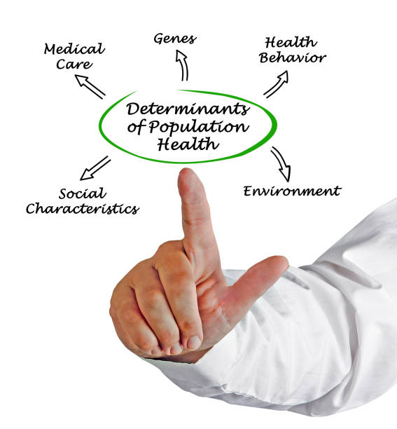 istock Determinants of Population Health 825774388