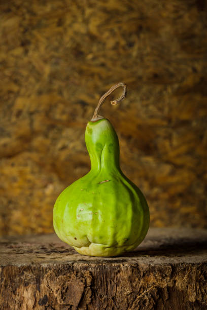 istock Still life art photography with calabash 825778200
