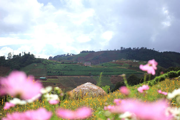 istock The mountain of flower 825781752