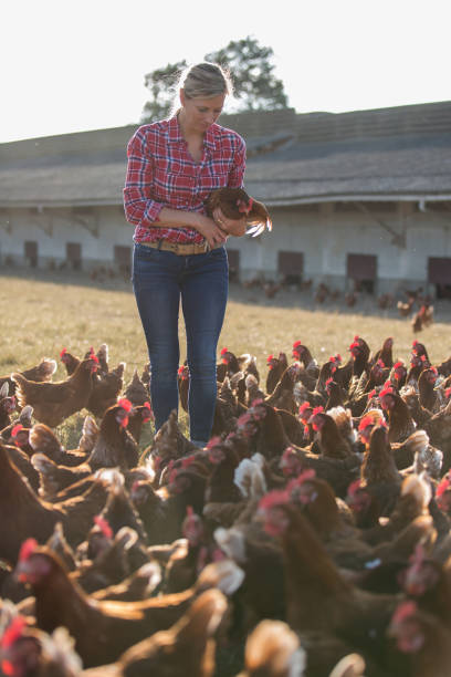 istock female farmer with chickens 825803750