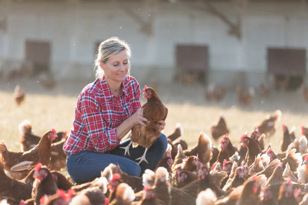istock female farmer on poultry farm 825803850