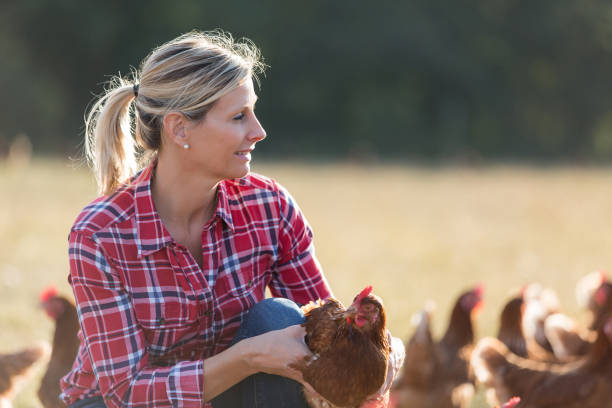 istock modern female farmer working with chicken 825803912