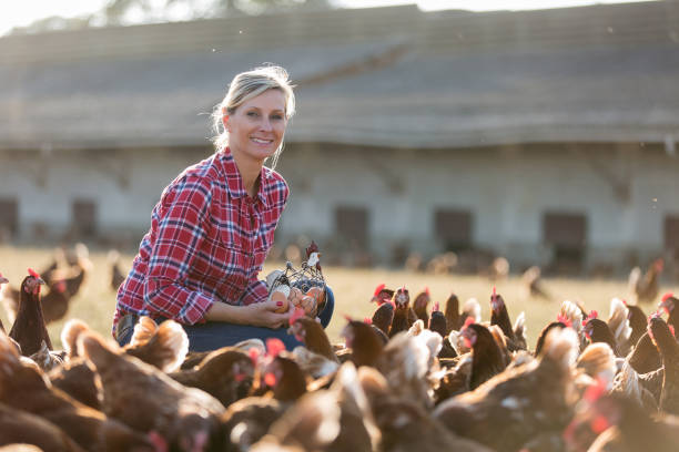 istock female farmer in farm with chicken 825804144