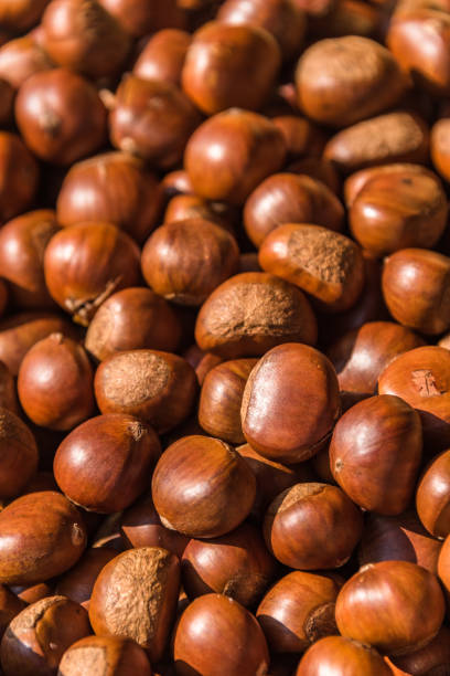 istock group of chestnuts,detail shot 825804160