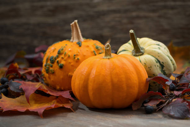 istock composition with pumpkins and autumn leaves, closeup 825811490