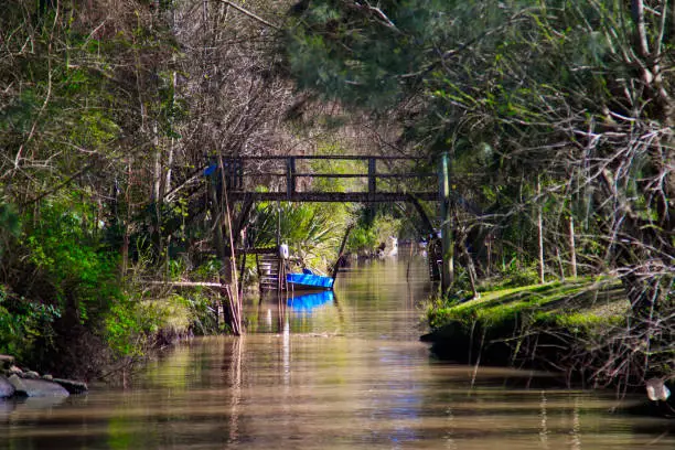 Photo of Boat floating on Tigre river in Argentina near Buenos Aires