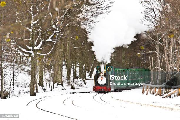Choo Choo Cargo Train At The End Of The World South America Last City Stock Photo - Download Image Now