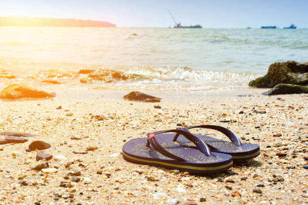 violet flip flops against the sandy beach of the brown beach on weekends. - sandy brown fotos imagens e fotografias de stock