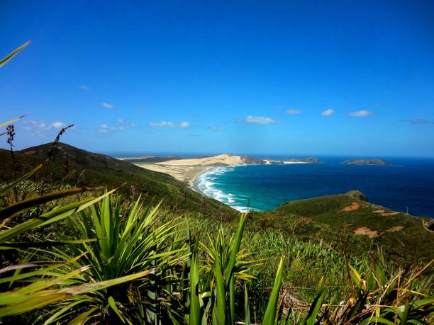 istock View from Cape Reinga, New Zealand 825818500