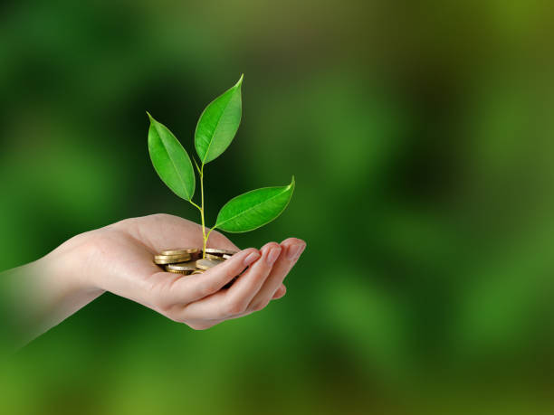 istock Investing to green business 825821348