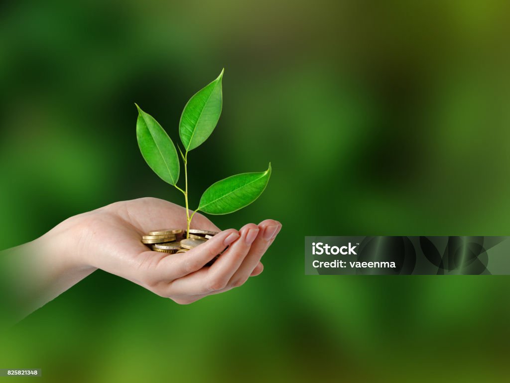 Investing to green business Bank - Financial Building Stock Photo