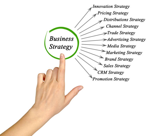 Diagram of Business Strategy Diagram of Business Strategy national democratic party of germany stock pictures, royalty-free photos & images