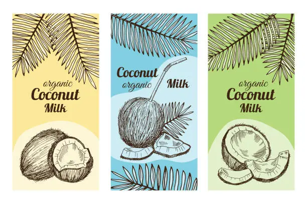 Vector illustration of Labels for package design with hand drawn illustrations of coconut. Vector template with place for your text