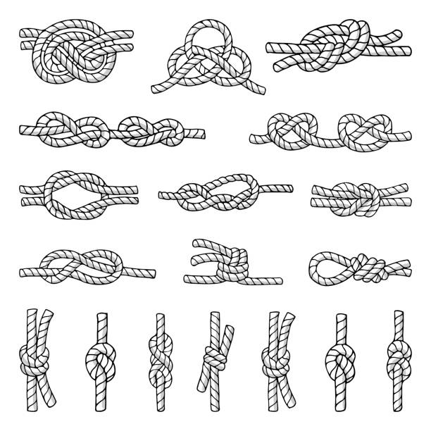 Illustrations of different nautical knots and nodes. Cordage icons set. Hand drawn pictures isolate on white Illustrations of different nautical knots and nodes. Cordage icons set. Hand drawn pictures isolate on white. Marine rope knot, twisted decorative cordage illustration topknot stock illustrations