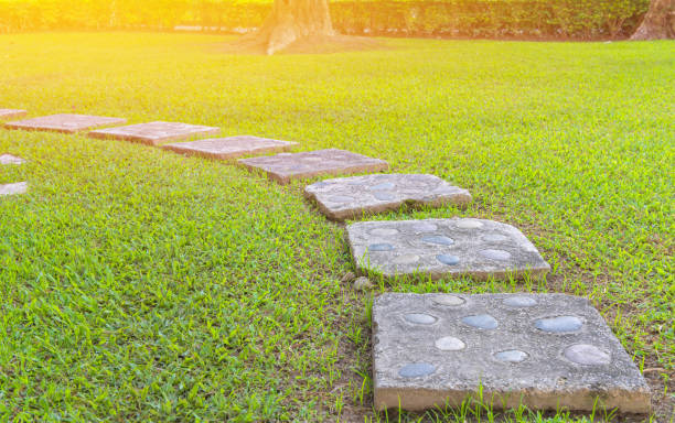 pathway with green grass in the garden pathway with green grass in the garden. 11904 stock pictures, royalty-free photos & images