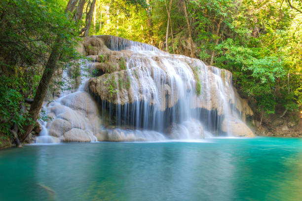 cascata nella foresta profonda nel parco nazionale della cascata di erawan, - 11915 foto e immagini stock