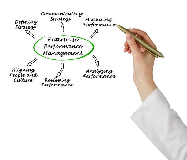 istock Diagram of Enterprise Performance Management 825827482