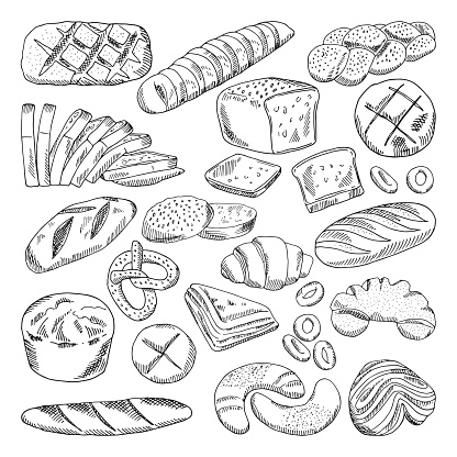 Types of healthy bakery foods. Croissant and fresh bread. Hand drawn vector bread loaf food, fresh bun and croissant, illustration