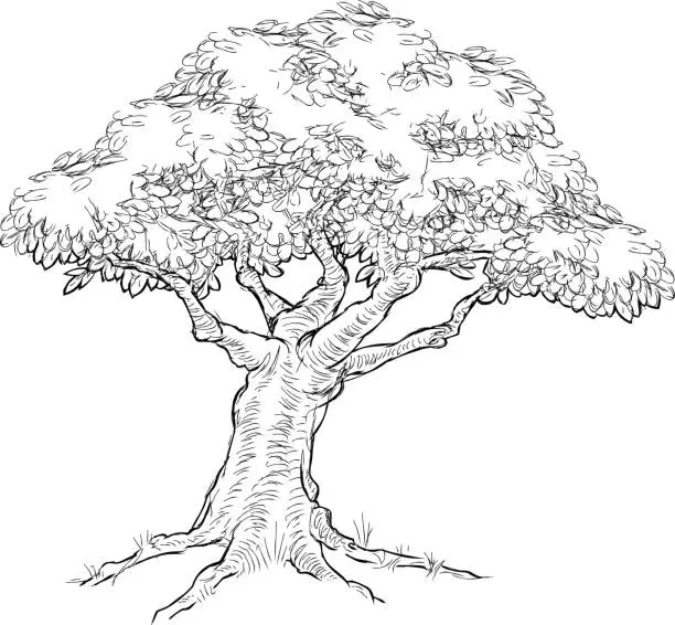 Vector illustration of Woodcut sketch Style Tree