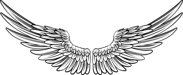 Pair of Spread Wings Pair of spread out eagle bird or angel wings angels tattoos stock illustrations