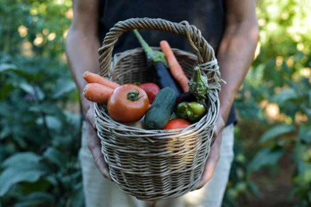 istock young man with a basket full of vegetables 825834014