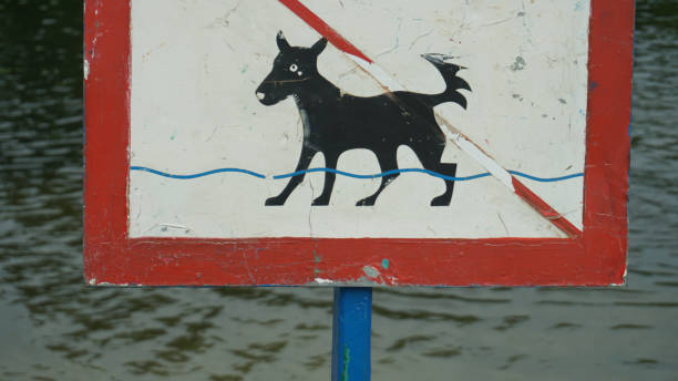 a sign an animal is forbidden to bathe