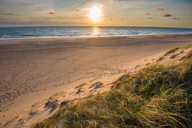 istock North sea beach, Jutland coast in Denmark 825849882